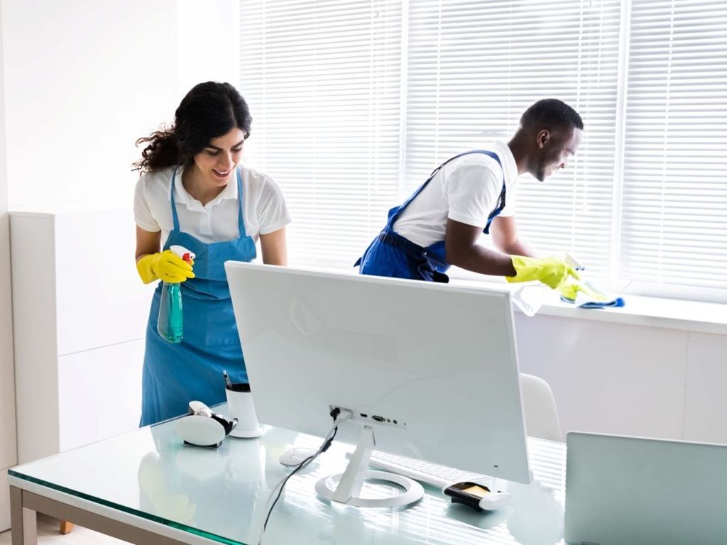 cleaning professionals